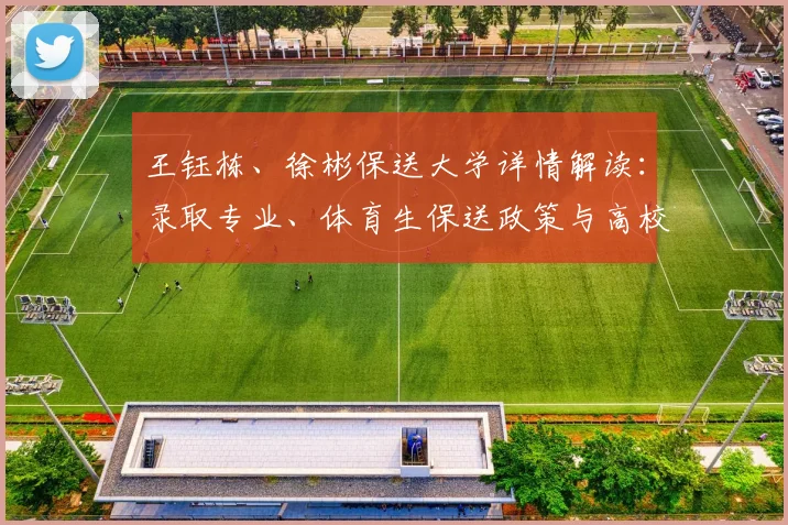 王钰栋、徐彬保送大学详情解读：录取专业、体育生保送政策与高校招生要求